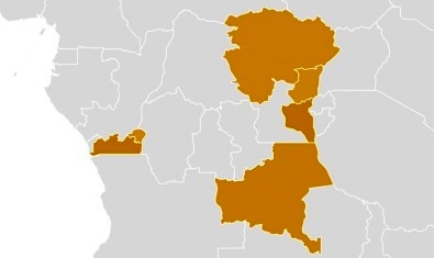 Tendances de recherche concernant Fayulu