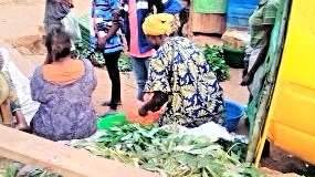 Les difficultés de transport on entraîné une chute du prix d'achat des marchandises à Mbanza Ngungu